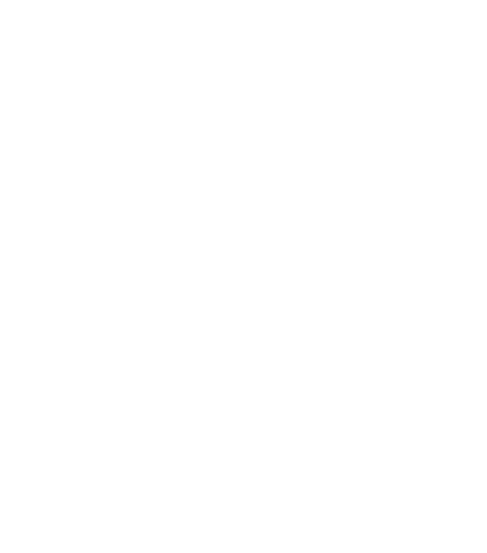 Dragonfly Logo